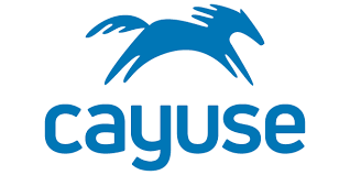 cayuse